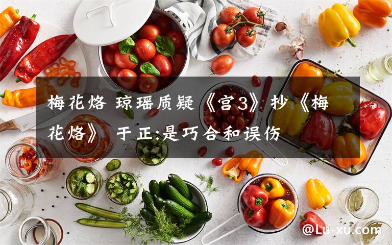 梅花烙 琼瑶质疑《宫3》抄《梅花烙》 于正:是巧合和误伤