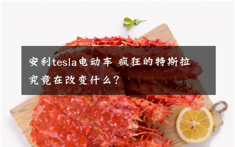 安利tesla电动车 疯狂的特斯拉究竟在改变什么？
