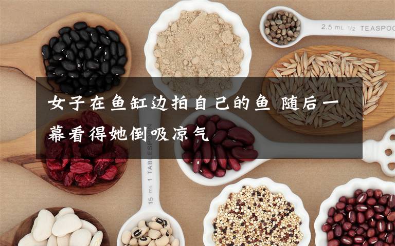 女子在鱼缸边拍自己的鱼 随后一幕看得她倒吸凉气