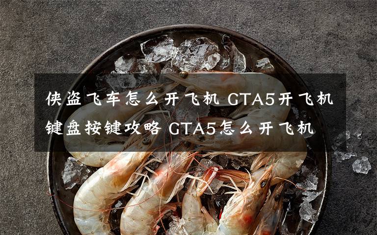 侠盗飞车怎么开飞机 GTA5开飞机键盘按键攻略 GTA5怎么开飞机