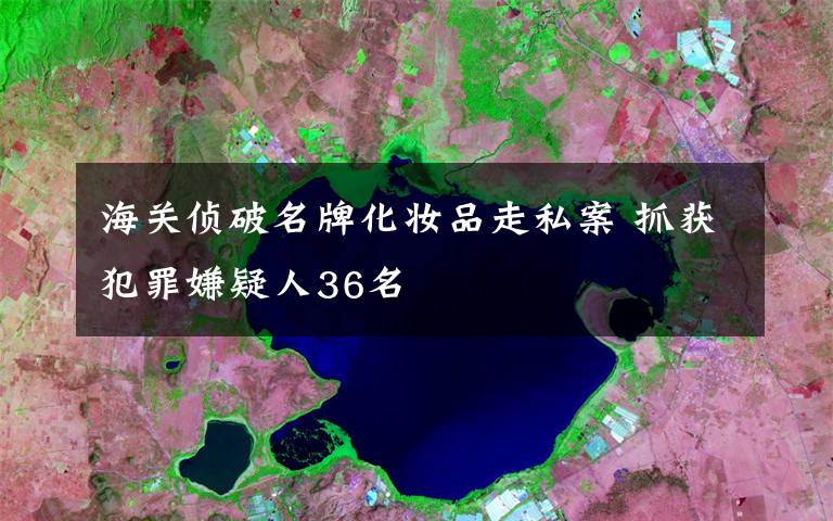 海关侦破名牌化妆品走私案 抓获犯罪嫌疑人36名
