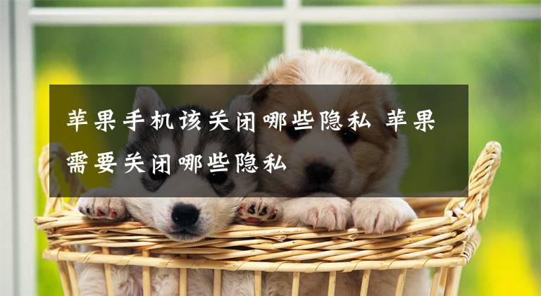 苹果手机该关闭哪些隐私 苹果需要关闭哪些隐私
