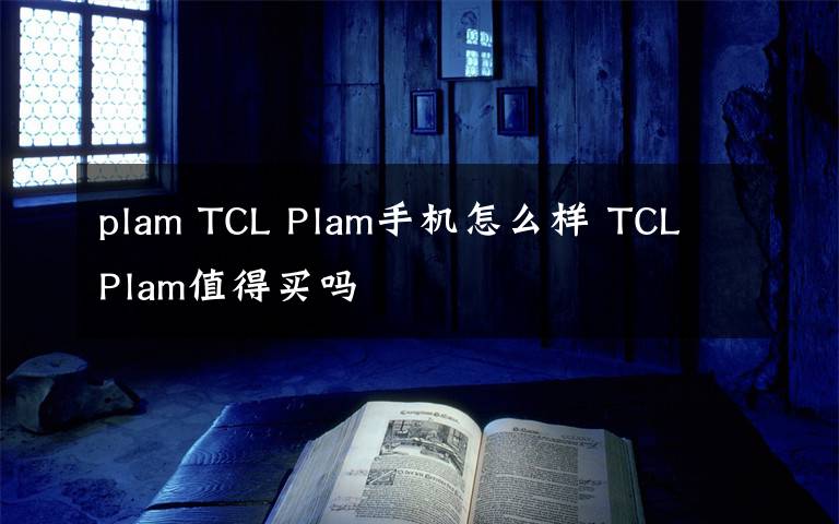 plam TCL Plam手机怎么样 TCL Plam值得买吗