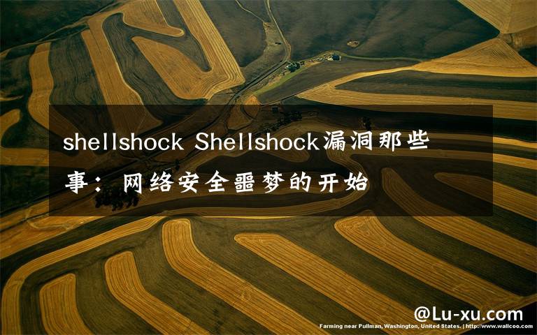 shellshock Shellshock漏洞那些事：网络安全噩梦的开始