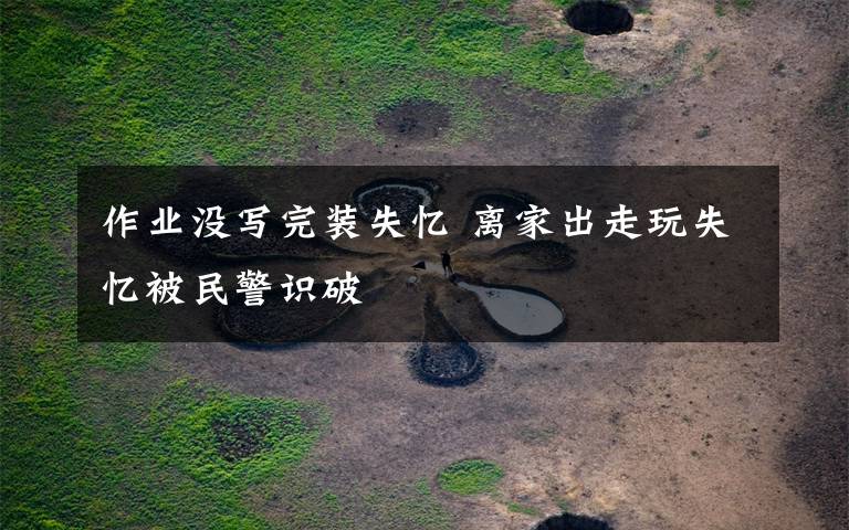 作业没写完装失忆 离家出走玩失忆被民警识破