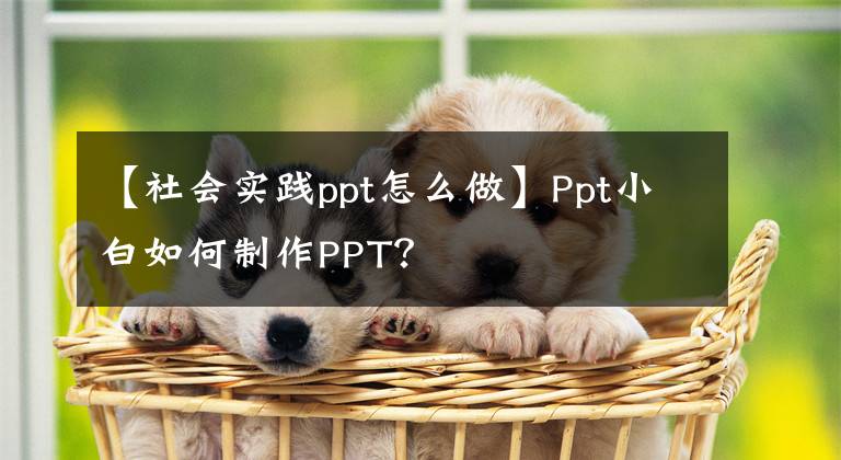 【社会实践ppt怎么做】Ppt小白如何制作PPT？