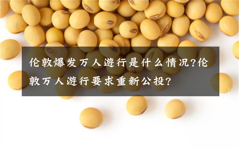 伦敦爆发万人游行是什么情况?伦敦万人游行要求重新公投?