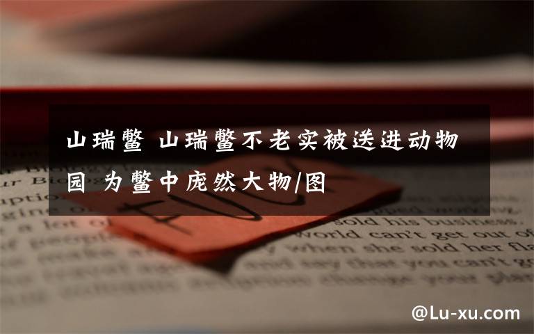 山瑞鳖 山瑞鳖不老实被送进动物园 为鳖中庞然大物/图