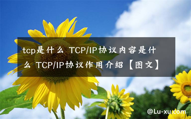 tcp是什么 TCP/IP协议内容是什么 TCP/IP协议作用介绍【图文】