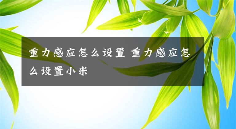 重力感应怎么设置 重力感应怎么设置小米