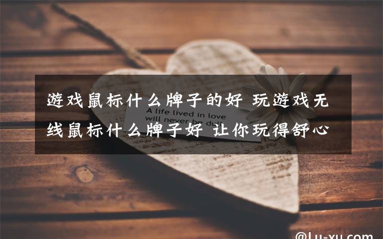 游戏鼠标什么牌子的好 玩游戏无线鼠标什么牌子好 让你玩得舒心【图文】