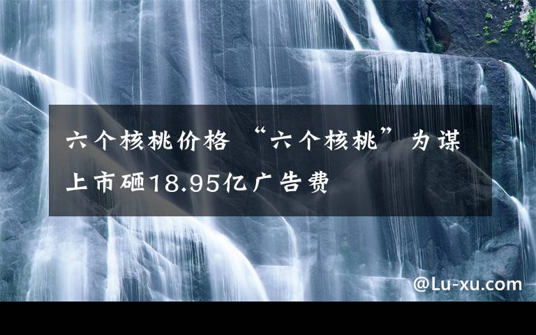 六个核桃价格 “六个核桃”为谋上市砸18.95亿广告费