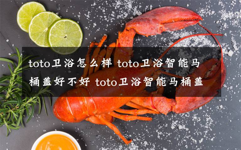 toto卫浴怎么样 toto卫浴智能马桶盖好不好 toto卫浴智能马桶盖优点介绍【详解】