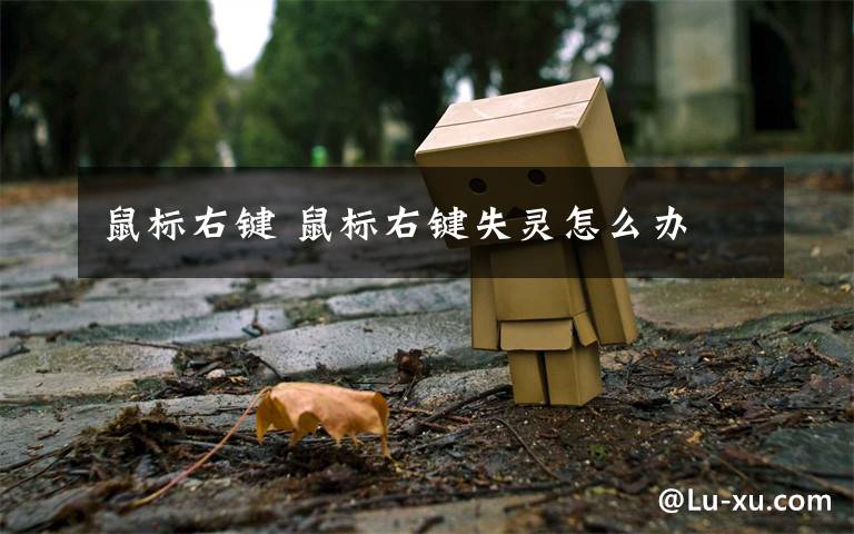 鼠标右键 鼠标右键失灵怎么办