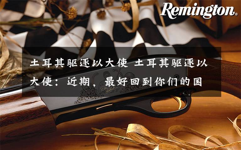 土耳其驱逐以大使 土耳其驱逐以大使：近期，最好回到你们的国家