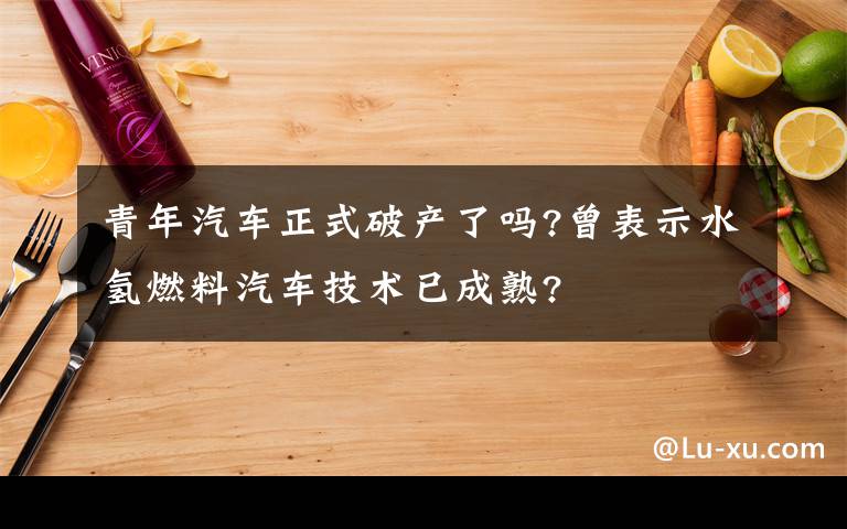 青年汽车正式破产了吗?曾表示水氢燃料汽车技术已成熟?