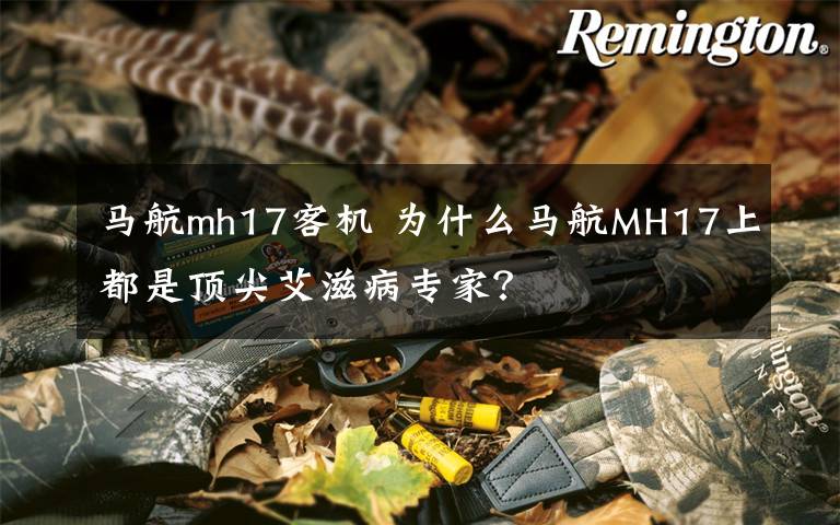 马航mh17客机 为什么马航MH17上都是顶尖艾滋病专家？