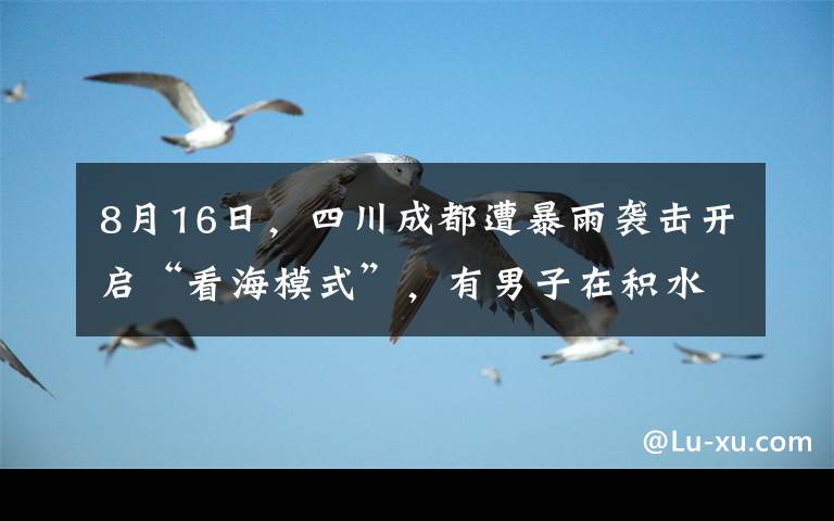 8月16日，四川成都遭暴雨袭击开启“看海模式”，有男子在积水中花式游泳，万万没想到自己正被电