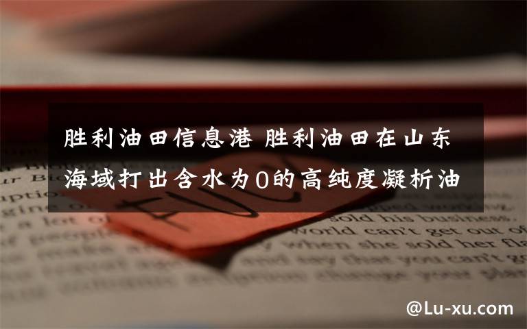 胜利油田信息港 胜利油田在山东海域打出含水为0的高纯度凝析油