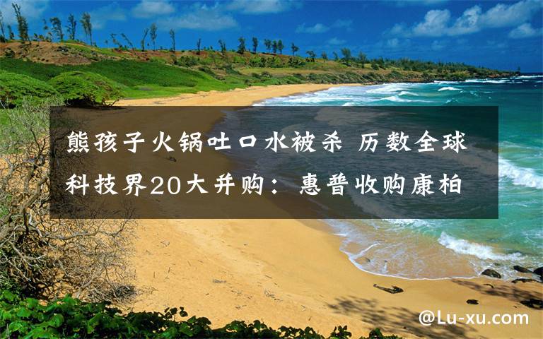 熊孩子火锅吐口水被杀 历数全球科技界20大并购：惠普收购康柏排第二