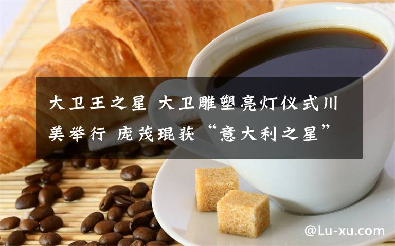 大卫王之星 大卫雕塑亮灯仪式川美举行 庞茂琨获“意大利之星”荣誉勋章