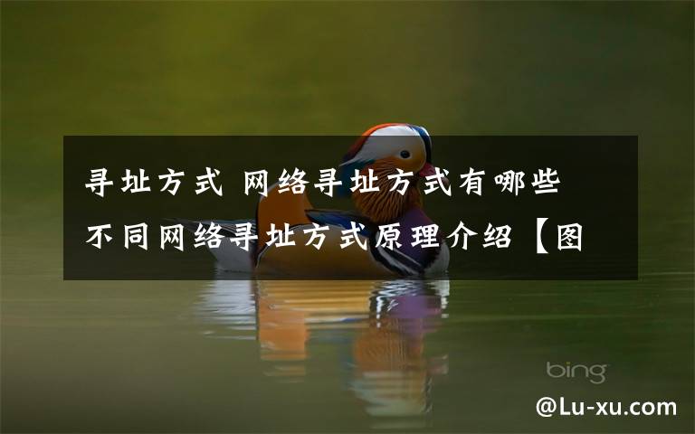 寻址方式 网络寻址方式有哪些 不同网络寻址方式原理介绍【图文】