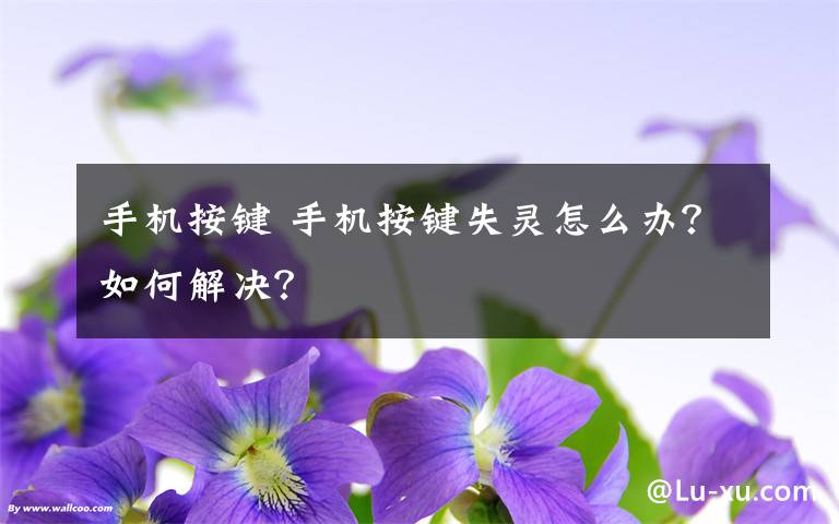 手机按键 手机按键失灵怎么办？如何解决？