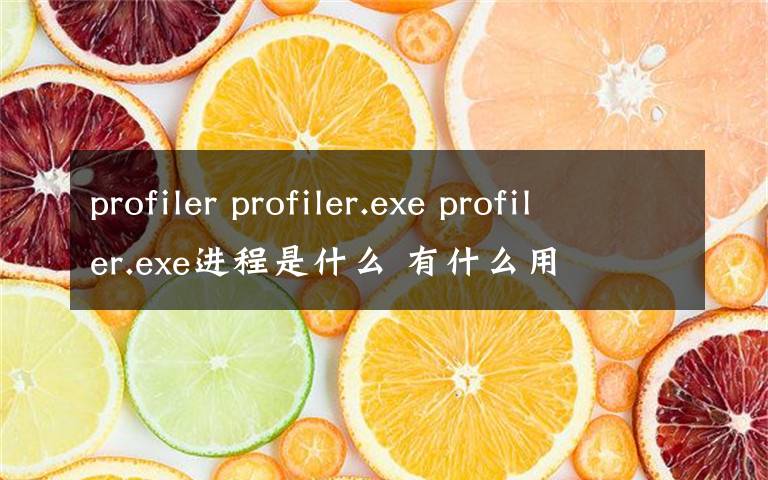 profiler profiler.exe profiler.exe进程是什么 有什么用