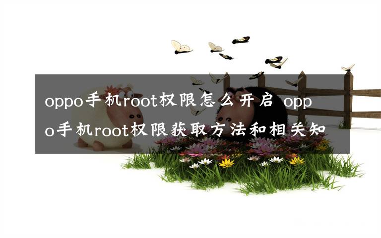 oppo手机root权限怎么开启 oppo手机root权限获取方法和相关知识介绍