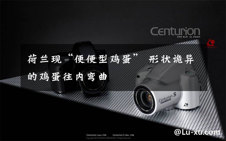 荷兰现“便便型鸡蛋” 形状诡异的鸡蛋往内弯曲