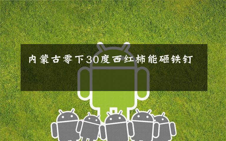 内蒙古零下30度西红柿能砸铁钉