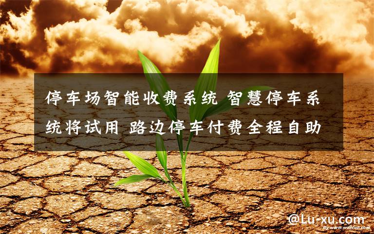停车场智能收费系统 智慧停车系统将试用 路边停车付费全程自助不用现金