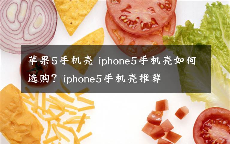 苹果5手机壳 iphone5手机壳如何选购？iphone5手机壳推荐