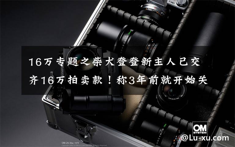 16万专题之柴犬登登新主人已交齐16万拍卖款！称3年前就开始关注它
