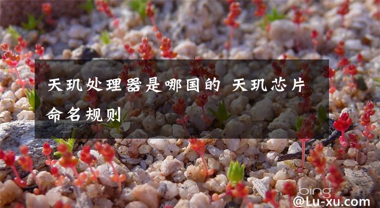 天玑处理器是哪国的 天玑芯片命名规则