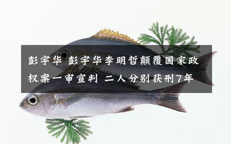 彭宇华 彭宇华李明哲颠覆国家政权案一审宣判 二人分别获刑7年和5年