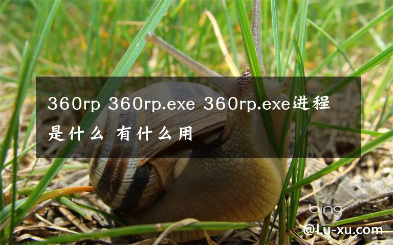 360rp 360rp.exe 360rp.exe进程是什么 有什么用