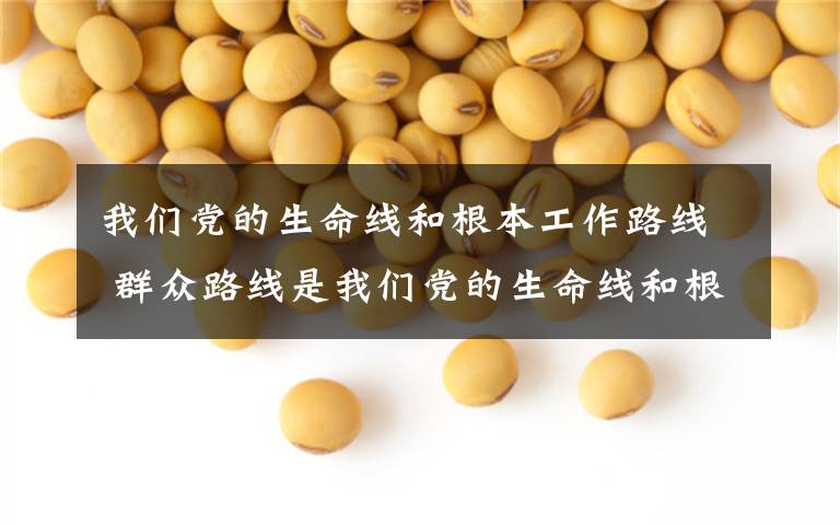 我们党的生命线和根本工作路线 群众路线是我们党的生命线和根本工作路线