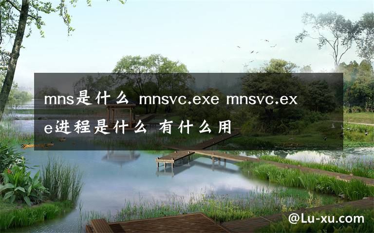 mns是什么 mnsvc.exe mnsvc.exe进程是什么 有什么用