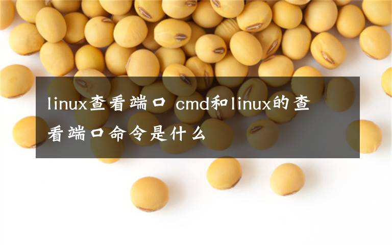 linux查看端口 cmd和linux的查看端口命令是什么