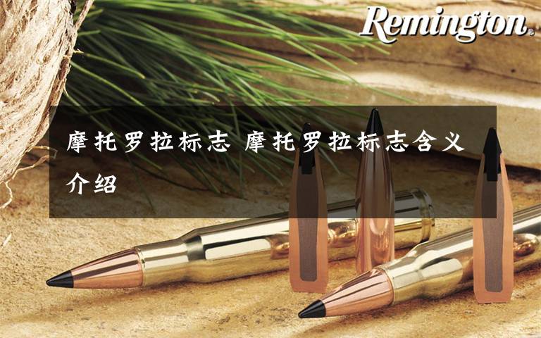 摩托罗拉标志 摩托罗拉标志含义介绍