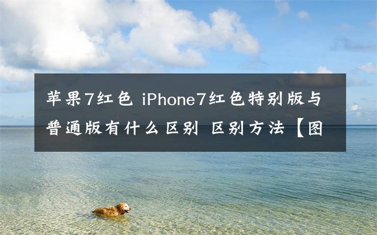 苹果7红色 iPhone7红色特别版与普通版有什么区别 区别方法【图文详解】