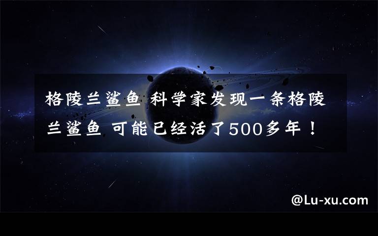格陵兰鲨鱼 科学家发现一条格陵兰鲨鱼 可能已经活了500多年！