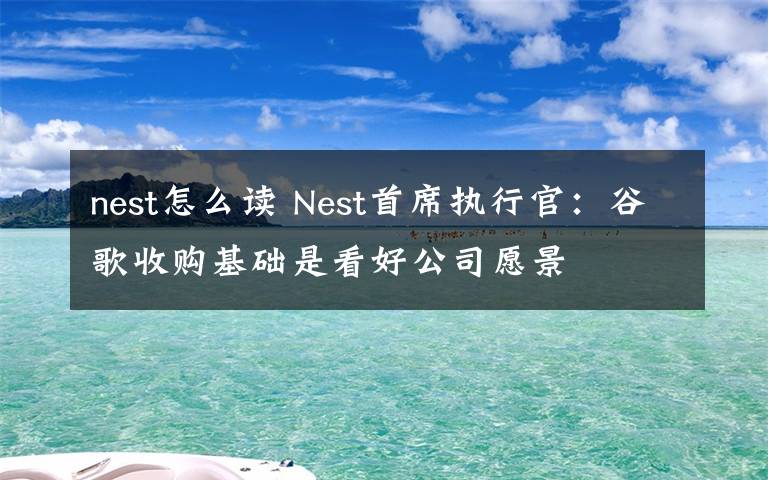 nest怎么读 Nest首席执行官：谷歌收购基础是看好公司愿景