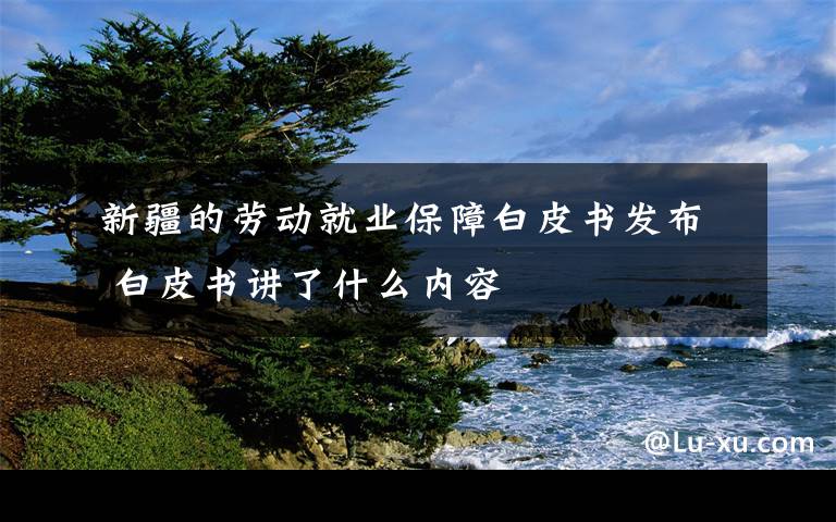 新疆的劳动就业保障白皮书发布 白皮书讲了什么内容