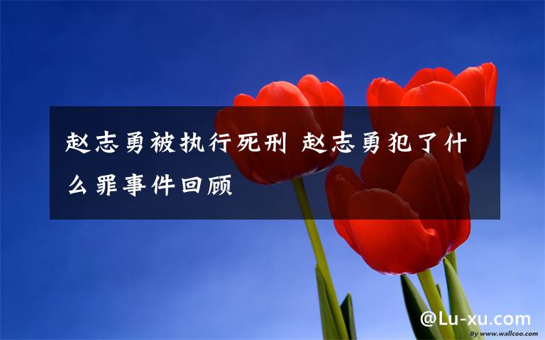 赵志勇被执行死刑 赵志勇犯了什么罪事件回顾