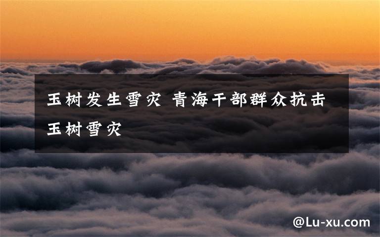 玉树发生雪灾 青海干部群众抗击玉树雪灾