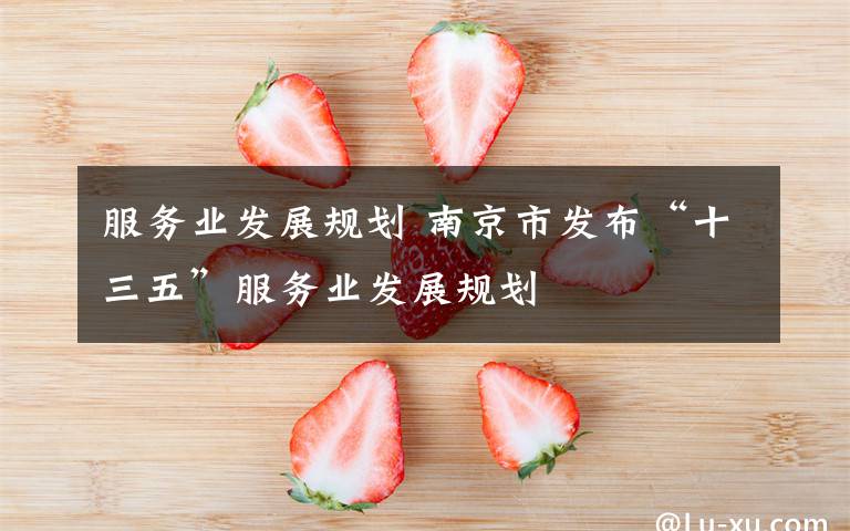 服务业发展规划 南京市发布“十三五”服务业发展规划