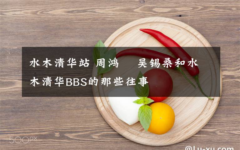水木清华站 周鸿祎 吴锡桑和水木清华BBS的那些往事