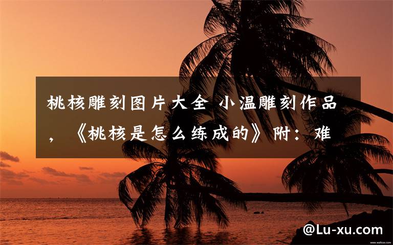 桃核雕刻图片大全 小温雕刻作品，《桃核是怎么练成的》附：难得一见的雕刻工程图，